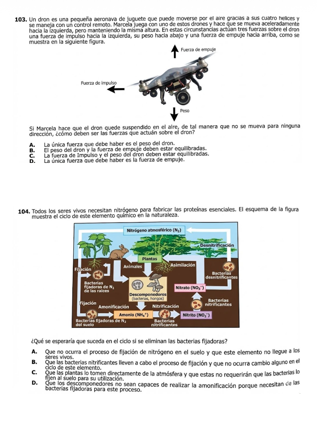 Preguntas Reales 2017 - 2025 CALENDARIO A Y B